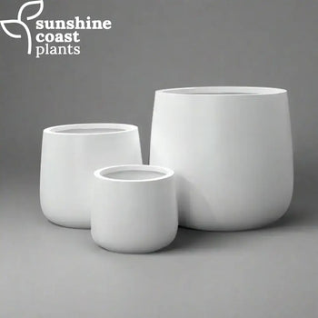 Fibrestone Pot Collection