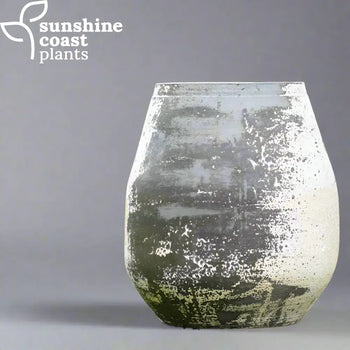 Limestone Pot Collection