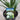 Agapanthus ‘Ice Angel’ Plant