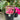 Bougainvillea ‘San Diego Red’ 175mm pot