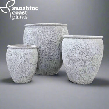 Driftstone Moku Planter