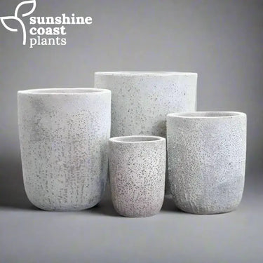 Driftsone Moku Planters with a raw, volcanic stone-inspired texture and a subtly curved base, finished in natural concrete