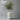 Nalu Tall Pot with Olive Tree