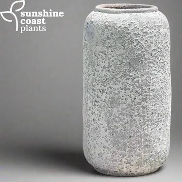 Driftstone Nalu Tall Pot Large 52cm (W) x 97cm (H) Pot