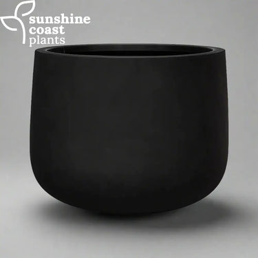 Modern rounded Coastline Planter with a smooth matte finish, ideal for indoor or outdoor styling
