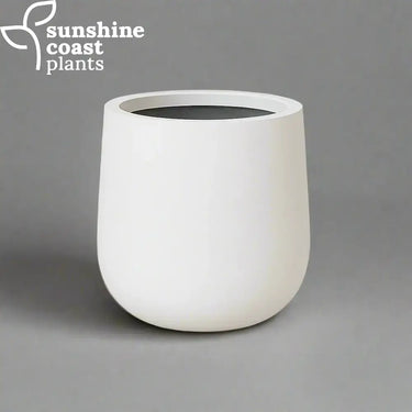 Lightweight Fibrestone Coastline Planter designed for sleek, contemporary spaces