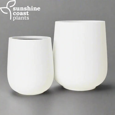Fibrestone Hamptons pots are designed for creating visual interest, framing architectural features, or complementing minimalist plant arrangements