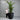 Fibrestone Riviera Egg Pot Pot