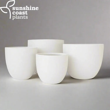 Perfect for styling a variety of plants, from compact arrangements to larger statement greenery