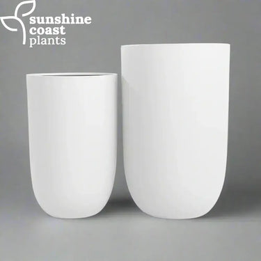 White Fibrestone Sandhaven tall tube pots - ideal for brightening up modern interiors or stylish outdoor areas