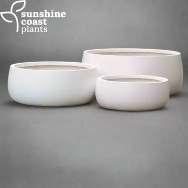 White Fibrestone Seabowls with a soft, curved shape and matte finish — perfect for minimalist plant styling and contemporary garden settings