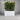 Shoreline Trough in white perfect for creating a screen or hedge