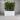 Shoreline Trough in white perfect for creating a screen or hedge