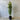 Lilly Pilly Syzygium Australe ’Straight & Narrow™️ - Plant