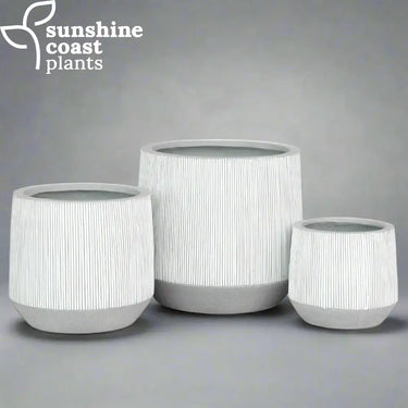 A striking Alpine pot featuring a sleek cylindrical shape and eye-catching vertical ribbed texture, finished in a crisp, modern white for a bold yet elegant statement.