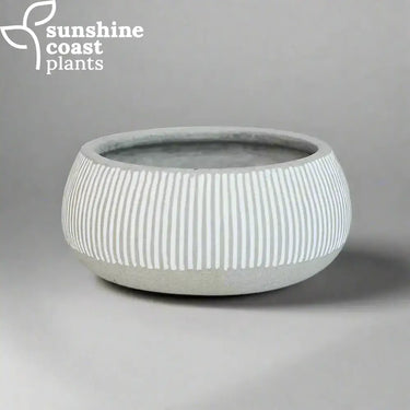 Alpine bowls are perfect showcasing succulents, low arrangements, or creating a clean, minimalist statement indoors or out