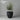 Manzanillo Olive in our Riviera Egg Pot