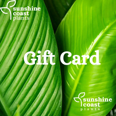 Sunshine Coast Plants Gift Card Gift Cards