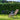 Screening & Hedging: Best Plants & Design Tips