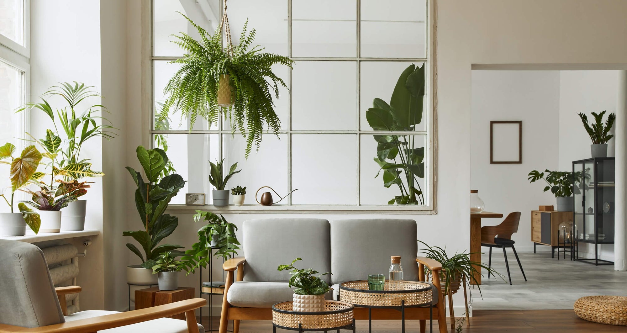 How to Give Your Indoor Plants a Makeover