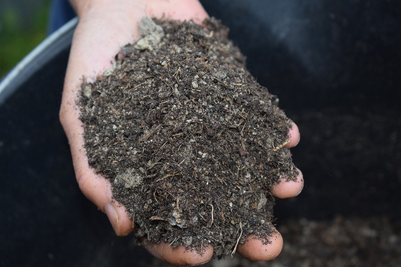 MULCH: Why it matters and how to do it