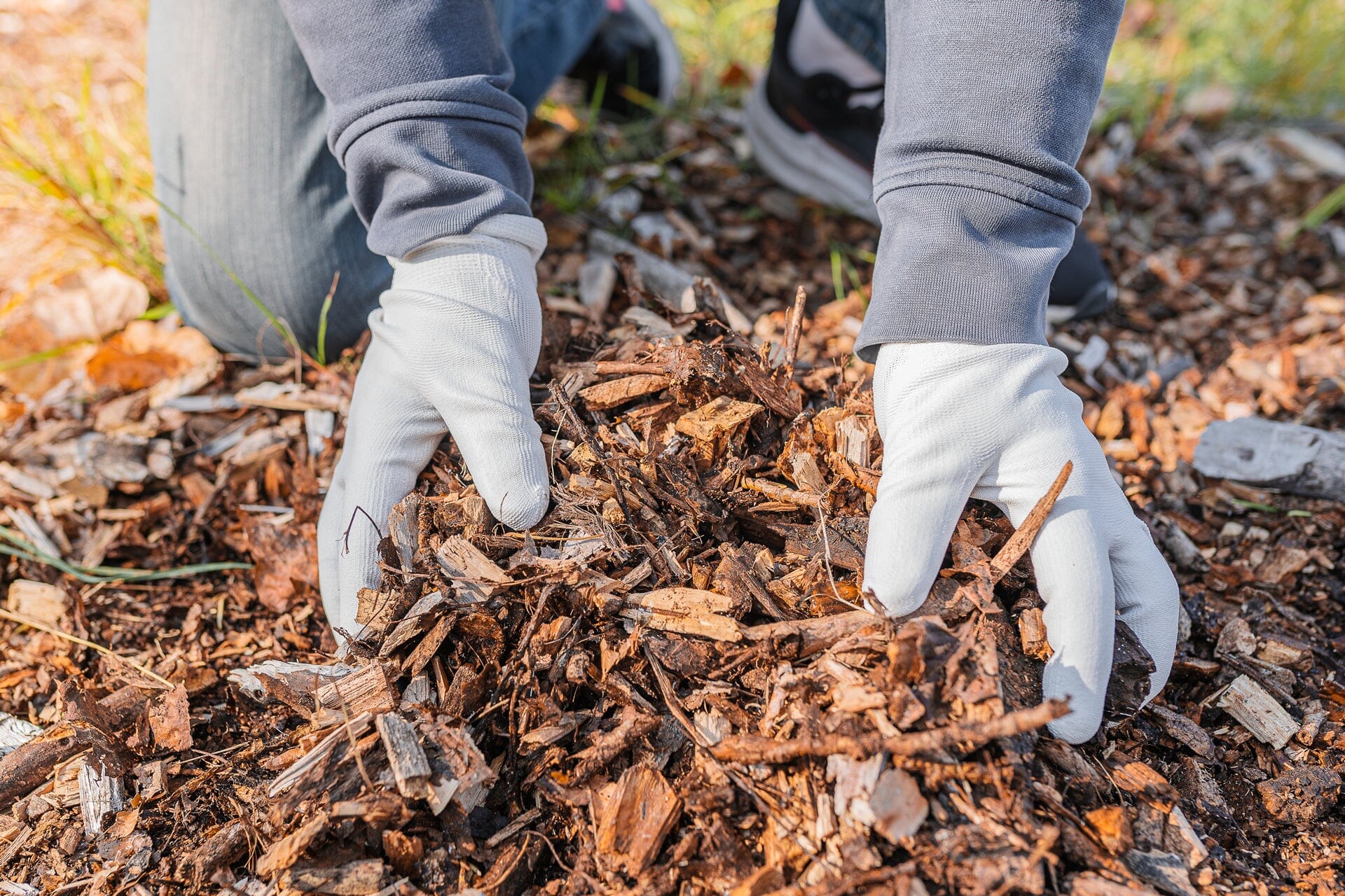 8 Tips for Things to Do in Your Garden This Winter