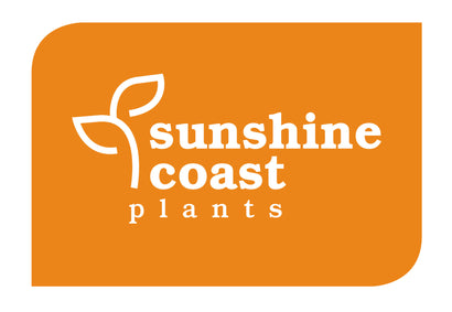 Sunshine Coast Plants
