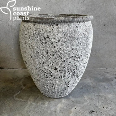 Driftsone Moku Planter - Pot