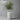Nalu Tall Pot with Olive Tree