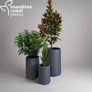 Dunestone Tall Pot Set Pot