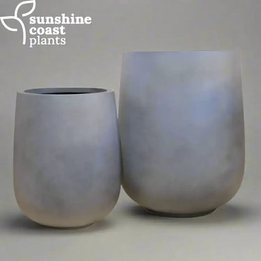 Perfect for enhancing entryways, or adding sculptural elegance to modern garden and interior spaces.