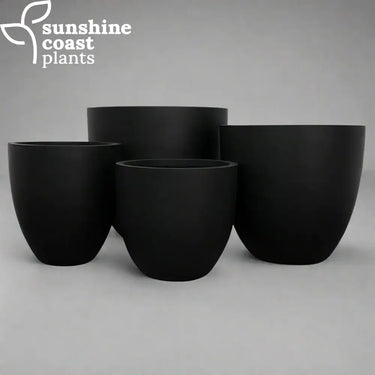 Ideal for everything from small accent plants to larger feature greenery
