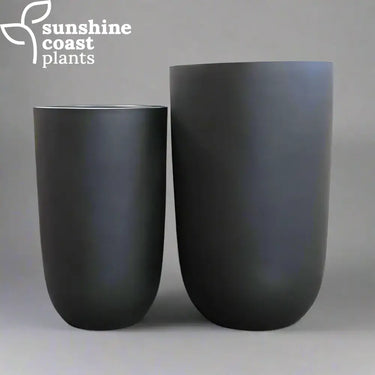 Black Fibrestone Sandhaven tall round tube pots with a sleek cylindrical shape and smooth matte finish, ideal for adding height and modern elegance to plant displays