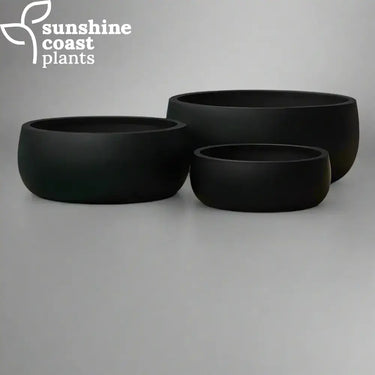 Black Fibrestone Seabowls featuring a bold, rounded form and smooth matte finish — ideal for striking contrast in modern plant displays