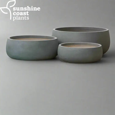 Grey Fibrestone Seabowls with a smooth, rounded silhouette — ideal for low plant arrangements in modern indoor or outdoor spaces