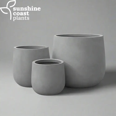 Perfect for contemporary plant styling, the Seabreeze Pot offers a minimalist silhouette and smooth finish that complements both residential and commercial spaces