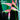 Heliconia Chartacea Temptress 300mm pot Plant