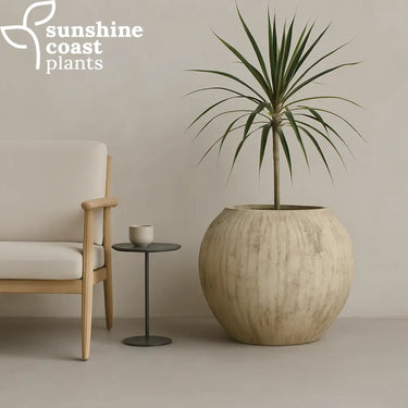 Limestone Evora Pot Large 56cm (W) x 52cm (H) Pot