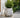 Siena Limestone pot