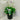 Viola Hederacea - ‘Native Violet’ 140mm pot Plant