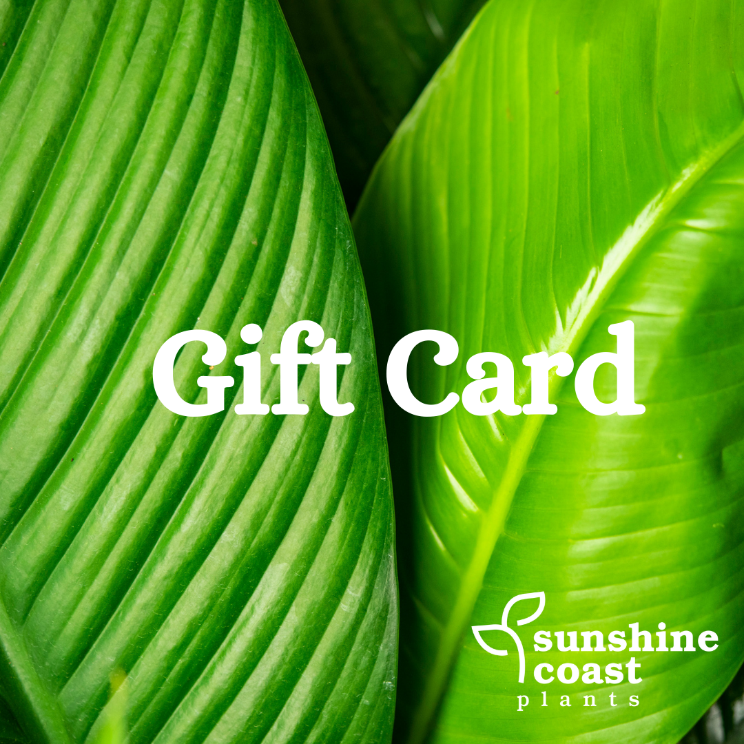 Sunshine Coast Plants Gift Card